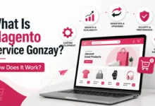 Magento Service Gonzay