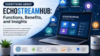 Echostreamhub