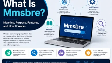 Mmsbre