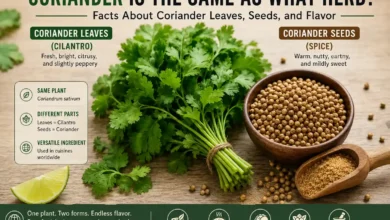 Coriander Is the Same As